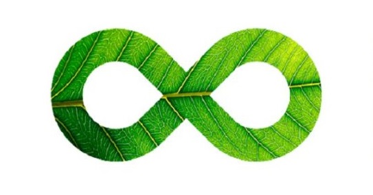 17aeee7db6c518d523fc82a5912a1b8d